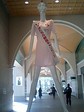 080229_1009~0001.jpg